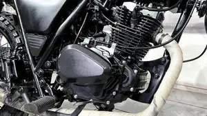 Brixton Motorcycles Felsberg 125 (2019 - 20)  (3)
