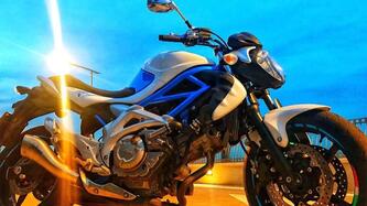 Suzuki Gladius 650 SFV (2009 - 15) usata