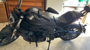 Benelli 502 C (2021 - 25) 