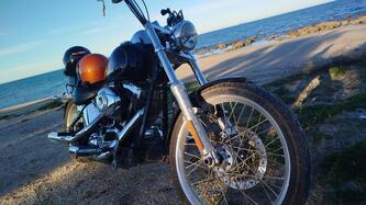 Harley-Davidson 1584 Heritage Classic (2008 - 10) - FLSTC usata