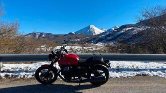 Moto Guzzi V7 Stone (2021 - 24) usata