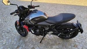 Triumph Trident 660 (2021 - 24) 