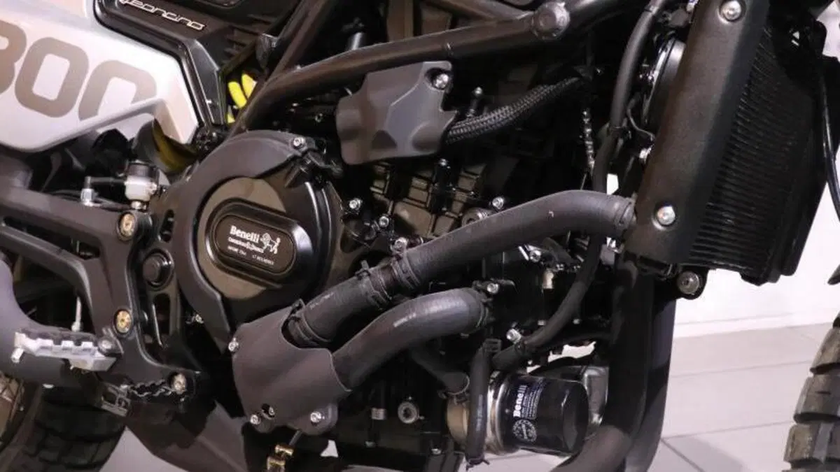 Benelli Leoncino 800 (2022 - 26)  (3)