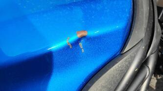 Suzuki SV 650 (2016 - 20) usata