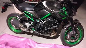 Kawasaki Z 900 (2021 - 24) 