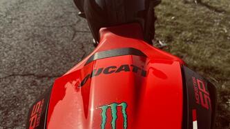 Ducati Monster 937 SP (2023 - 25) usata