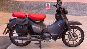 Honda Super Cub C125 (2022 - 24) 