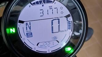 Ducati Scrambler 800 Icon Dark (2021 - 22)