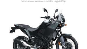 Kawasaki KLE 500 (2026) 