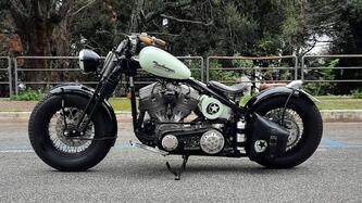 Headbanger Woodstock Boogie (2011 -16) usata