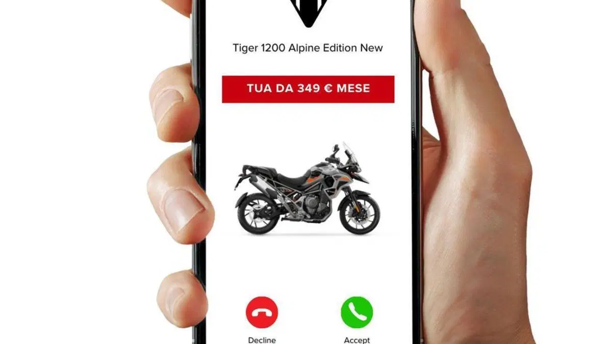Triumph Tiger 1200 Alpine Special Edition (2026)  (3)