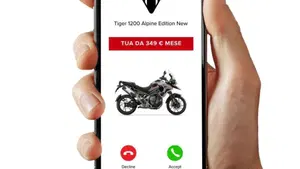 Triumph Tiger 1200 Alpine Special Edition (2026)  (3)