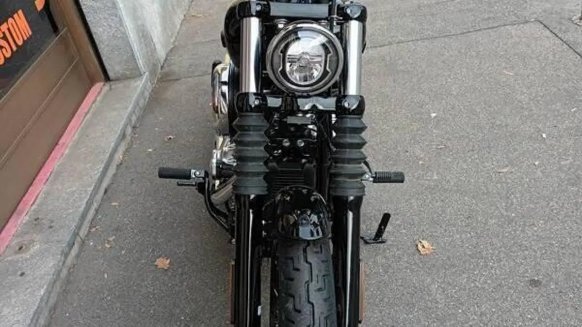 Harley-Davidson Street Bob 117 (2025 - 26)  (6)