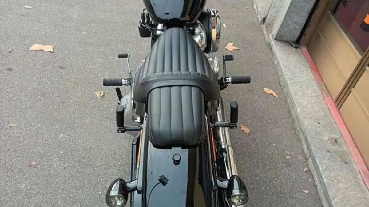Harley-Davidson Street Bob 117 (2025 - 26)  (7)