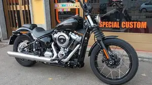 Harley-Davidson Street Bob 117 (2025 - 26)  (10)