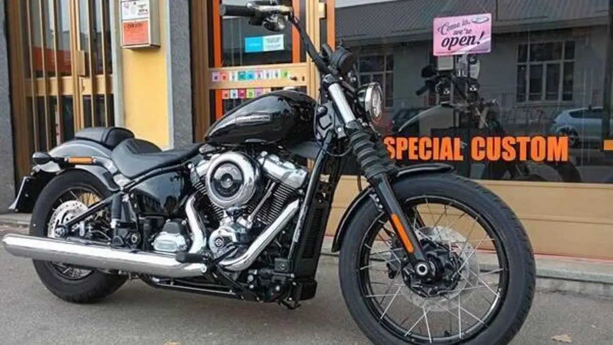 Harley-Davidson Street Bob 117 (2025 - 26)  (11)