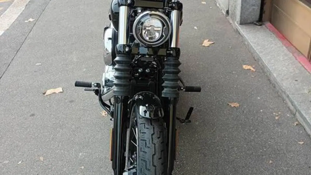 Harley-Davidson Street Bob 117 (2025 - 26)  (14)
