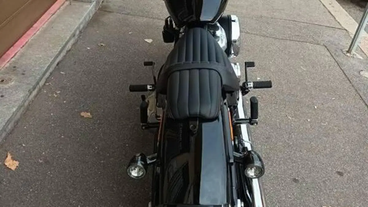 Harley-Davidson Street Bob 117 (2025 - 26)  (15)