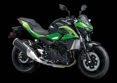 Kawasaki Z 500 (2024 - 26) - Annuncio 9885792