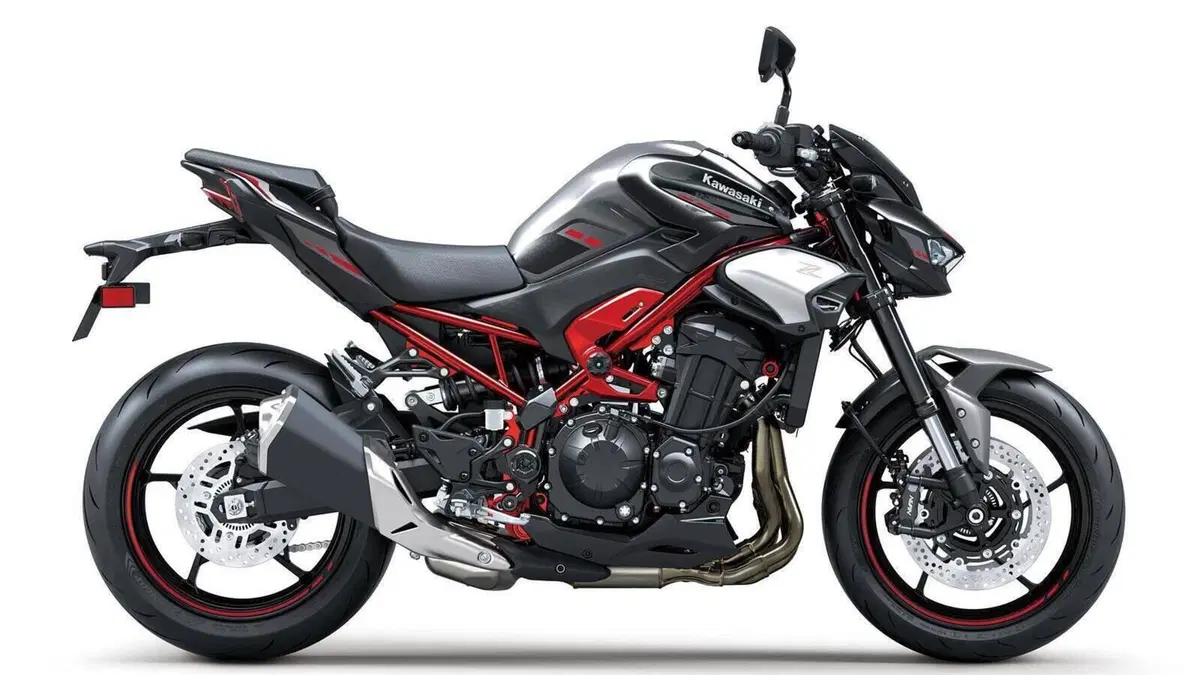 Kawasaki Z 900 A2 (2025 - 26) 