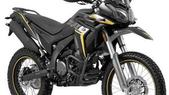 Voge Valico 300 Rally (2022 - 25) nuova