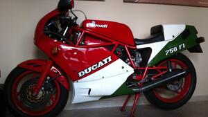 Ducati  