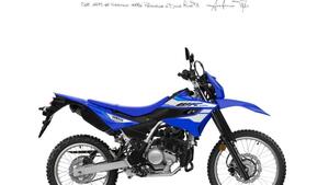 Yamaha WR 125 R (2026) 