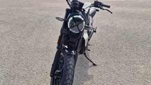 Ducati Scrambler 800 Icon (2023 - 25) 