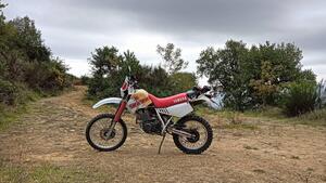 Yamaha TT 350 (1986 - 95) 