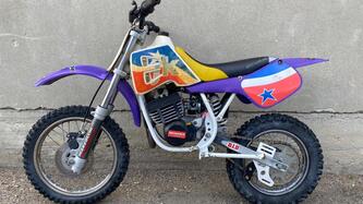  Altre moto o tipologie Minimoto usata