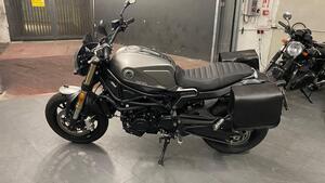 Benelli Leoncino 800 (2022 - 25) 