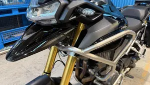 Triumph Tiger 1200 Rally Pro (2022 - 23)  (4)