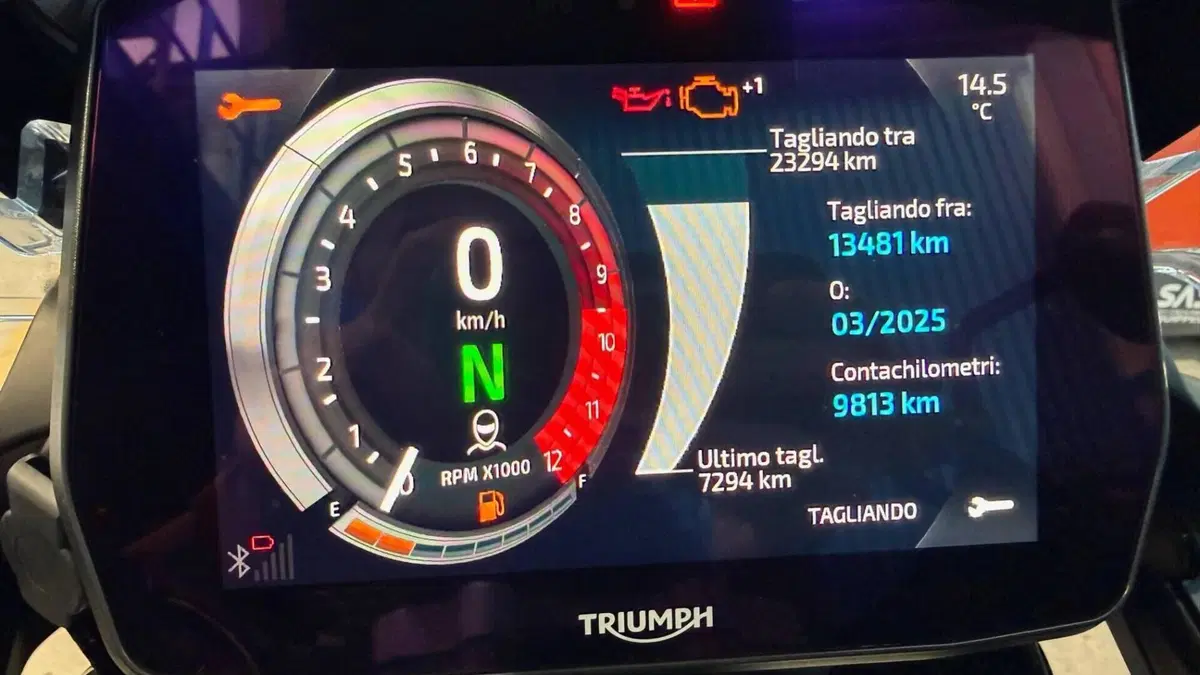 Triumph Tiger 1200 Rally Pro (2022 - 23)  (7)