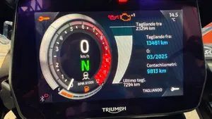 Triumph Tiger 1200 Rally Pro (2022 - 23)  (7)