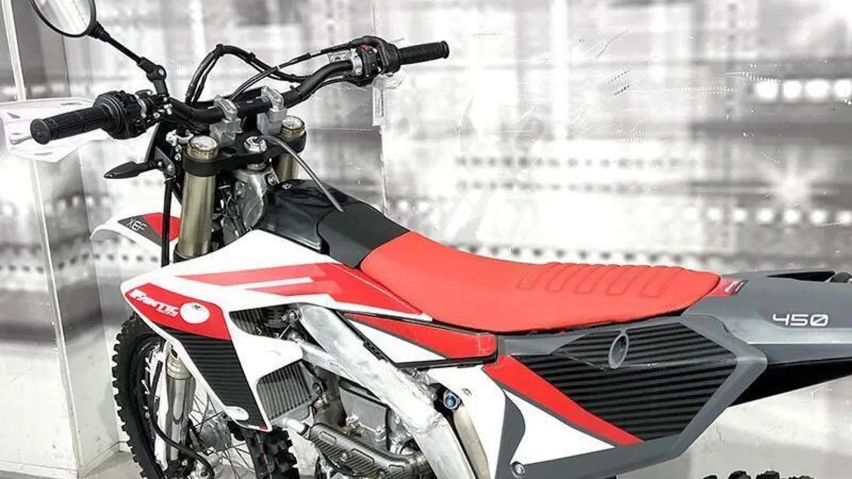 Fantic Motor XEF 450 (2023)  (5)