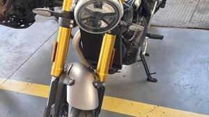 Triumph Speed 400 (2024 - 25) 