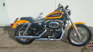 Harley-Davidson 1200 Custom (2007 - 13) - XL 1200C 