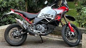 Ducati DesertX Rally (2024 - 25) 