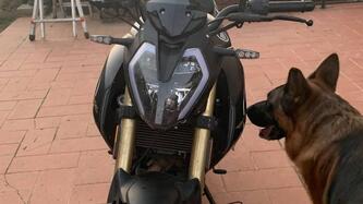 Keeway Motor RKF 125 (2021 - 24)