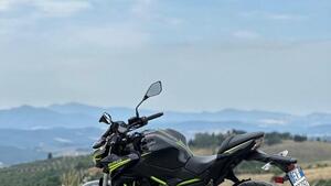 Kawasaki Z 650 Performance (2020) 