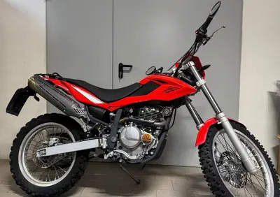 Betamotor Alp 4.0 (2008 - 17) - Annuncio 9887927