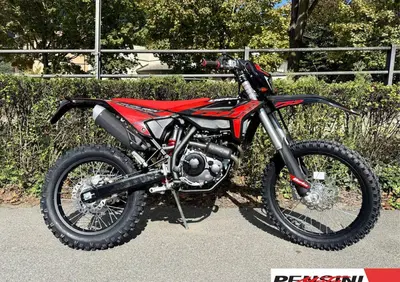 Betamotor RR 125 4T Enduro T (2025 - 26) - Annuncio 9888788