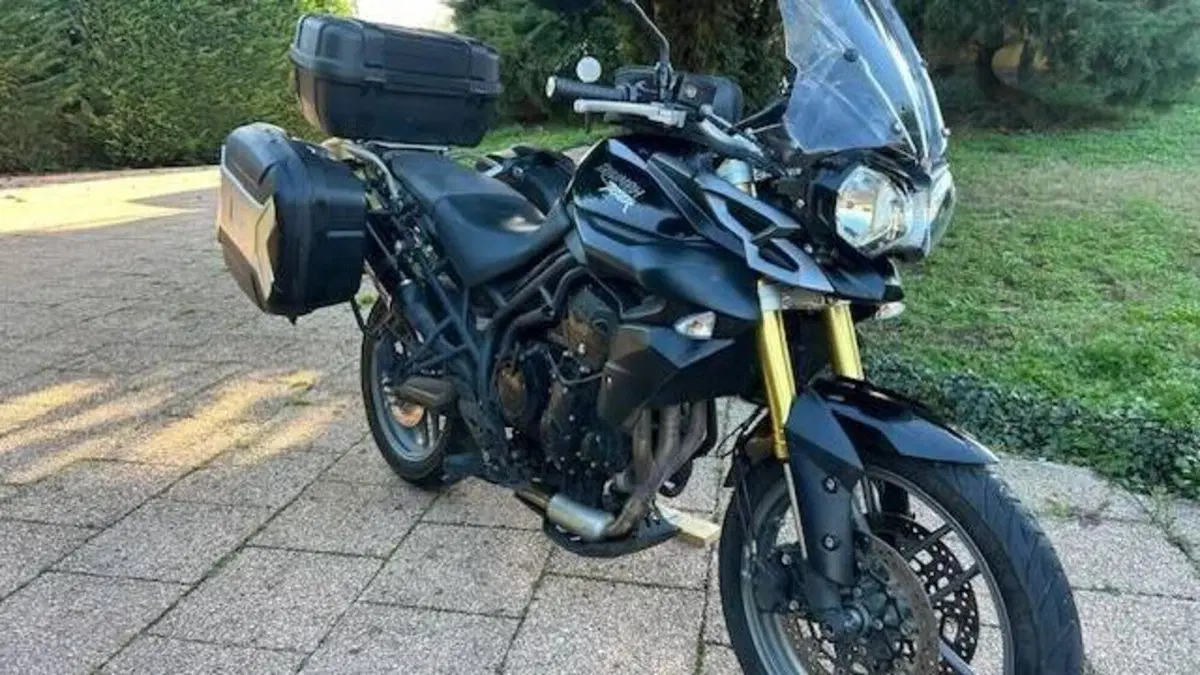 Triumph Tiger 800 XR (2015 - 17)  (3)