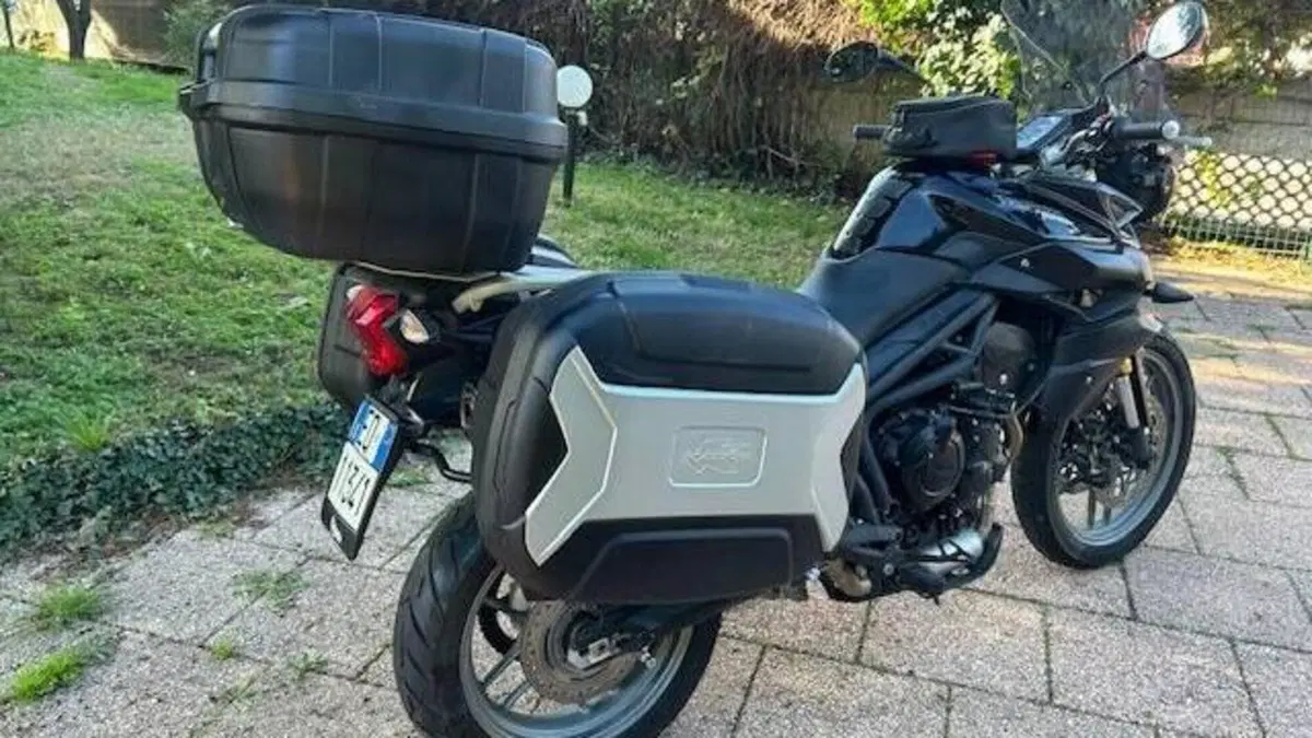 Triumph Tiger 800 XR (2015 - 17)  (5)