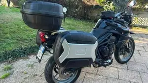 Triumph Tiger 800 XR (2015 - 17)  (5)