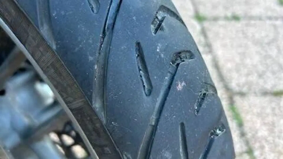 Triumph Tiger 800 XR (2015 - 17)  (7)