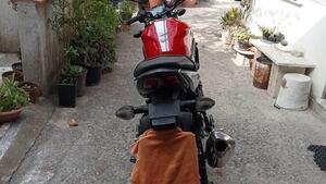 Suzuki SV 650 (2016 - 20) 