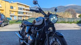 Triumph Bonneville T100 (2008 - 16) usata