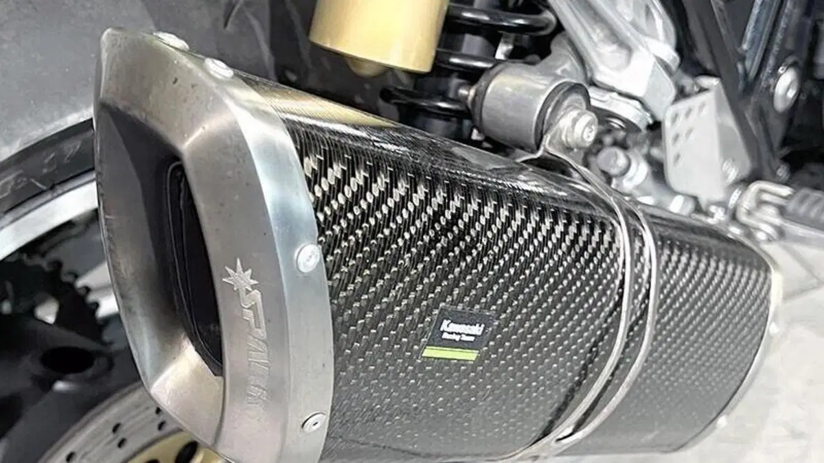 Kawasaki ZRX 1200 R (2000 - 06)  (4)