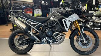 Triumph Tiger 900 Rally Pro (2024 - 25) usata